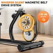 LNOW Recumbent Stationary Bike for Home with Arm Exerciser , Low-Impact Cardio & Physical Therapy for Seniors