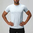 thumbnail image 2 of JFOPQVSM Men's Sports T Shirt Summer Solid Color Quick Drying Breathable Printed T Shirt, 2 of 7