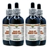 Brain And Memory Care Glycerite, Ginkgo (Ginkgo Biloba) Leaf, Gotu Kola (Centella Asiatica) Herb, Rosemary (Rosmarinus Officinalis) Leaf Alcohol-Free Liquid Extract, Glycerite Herbal