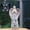 Angel Solar Energy, variant on Solar Angel Garden Statue, Outdoor Angel Figurine with Light, Easter Garden Decor, Memorial Cemetery Decoration for Grave Yard Patio, Sympathy Gifts for Mom Grandma Women