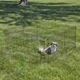 thumbnail image 2 of Midwest Homes For Pets 24" Exercise Pen with Step through Door, 2 of 9