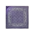 thumbnail image 1 of CTM® Individually Folded & Packaged Paisley Print Cotton Bandana, 1 of 1