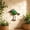 Green, variant on EDHITNR Iron Peacock Decor Rust Proof Protective Face Solid Metal Ornament for Living Room Balcony Courtyard Terrace, Exquisite Craftsmanship 3D Design Home Accent Decoration 6.14 x 7.1 Inch,