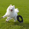thumbnail image 3 of （Black）Dog Chew Toys For Aggressive Chewers Large Breed, 3 of 5