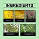 thumbnail image 2 of 1-5pcs Monarda Essential Oil Rosemary Essential Oil Hair Care Oils Pure Natural 60ml Hair Essential Oils For Hair, 2 of 5