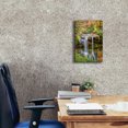 thumbnail image 4 of Epic Graffiti 'Smoky Mountains Autumn Waterfall 2' by Grace Fine Arts Photography, Canvas Wall Art, 12"x18", 4 of 8