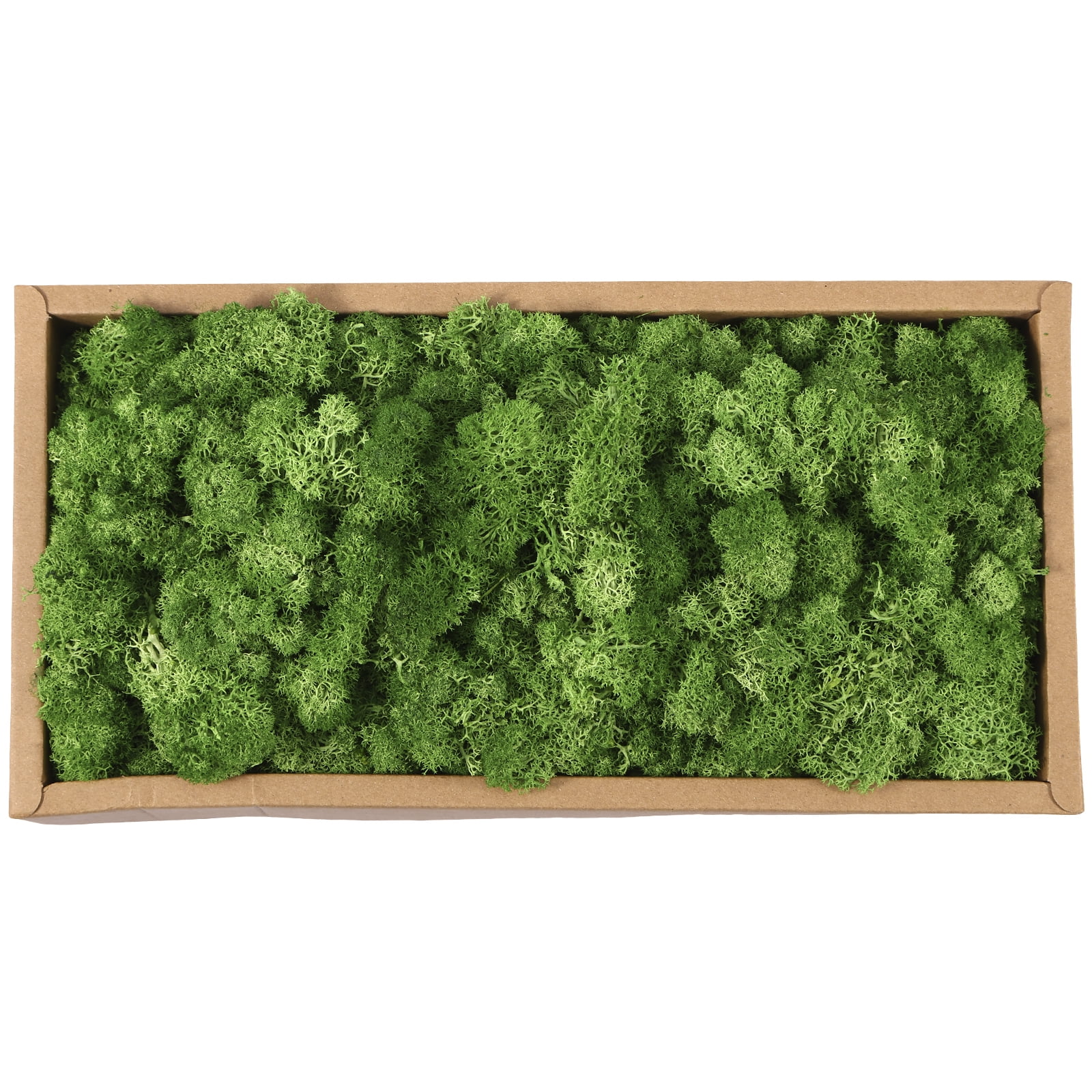 TCYPUHL Preserved Moss for Crafts Dark Green Reindeer Moss for Potted  Plants, Craft Decorative Moss Decor for Wall Art, Dried Moss(7oz, Dark  Green)
