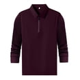 thumbnail image 3 of Bibifish Mens Polo Shirts Plain Solid Long Sleeve Zip Lapel Collar Solid Black Shirts Fall Travel Wear Tops, 3 of 7
