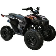 HHH 125cc ATV Quad 125cc ATV with Reverse, LED Lights, Big Wide Tires 4 Wheeler-Gray
