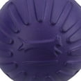 thumbnail image 7 of 3PK Large Interactive Play Durafoam Dog Puppy Ball Floating Toy-Assorted Colour, 7 of 7