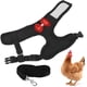 thumbnail image 4 of Arnés de Pollo Con Correa, Chaleco de Mascotas de Gallina, 4 of 7