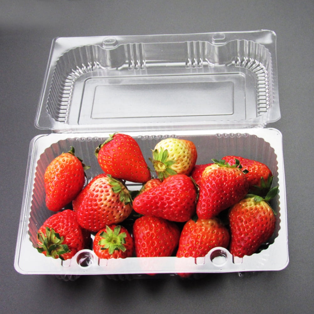 OTVIAP 25 PCS Disposable Plastic Hinged Loaf Container Food Fruit