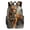 HuWng-2, variant on Majestic Tiger Lion Forest King Teenage Backpack Middle Students Bookbag Outdoor Daypack
