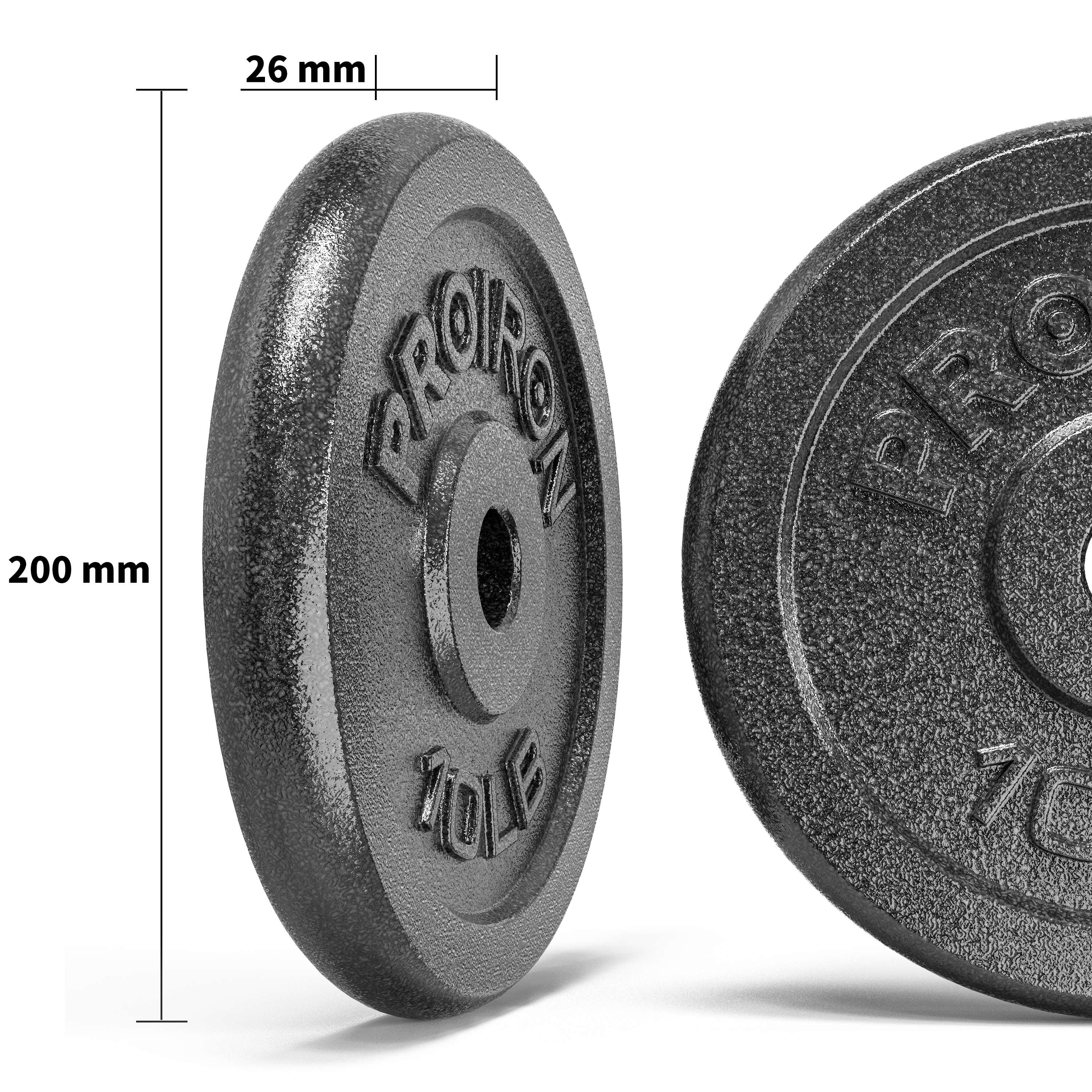 PROIRON Cast Iron Standard Plate 10Lb, Pair