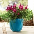 thumbnail image 3 of Better Homes & Gardens 10.7" D x 9.7" H Kamala Light Blue Recycled Resin Planter, 3 of 8
