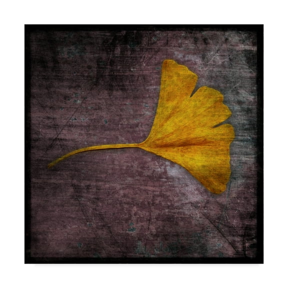 Trademark Fine Art 'Gingko Purple' Canvas Art by John W. Golden