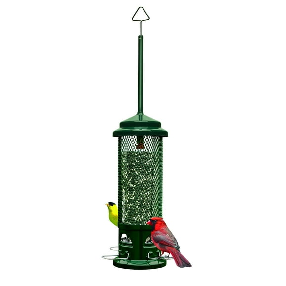 Squirrel Buster Legacy Truly Squirrel-Proof Wild Bird Feeder w/4 Stainless Steel Perches and 4 Seed Ports, for Clinging and Perching Birds, 2.6 lbs Seed Capacity, Green