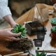 thumbnail image 3 of BRIGHTFUFU 10pcs Cesta de siembra Raíz de siembra verde Planta cuadrada Cultivo de agua Jardín Siembra de invernadero Macetas de cultivo sin suelo Negro, 3 of 7