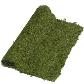 Supermoss Instantgreen Moss Mat 4 X 1 5 Feet Walmart Com