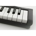 thumbnail image 3 of Korg MICROKEY249 Microkey2 49-Key IOS-Powerable USB Midi Controller with Pedal Input, 3 of 5