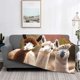 thumbnail image 2 of Fotbe Cute Alpaca in Daze Manta de Franela con Estampado, Manta Ultrasuave para Cama, Sofá, Auto, Hipoalergénica y Antibolitas-60"x50", 2 of 6