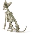 thumbnail image 4 of Esqueleto de perro en miniatura decorativo para Halloween, huesos de perro en cuclillas de plástico con articulaciones activas, 4 of 4