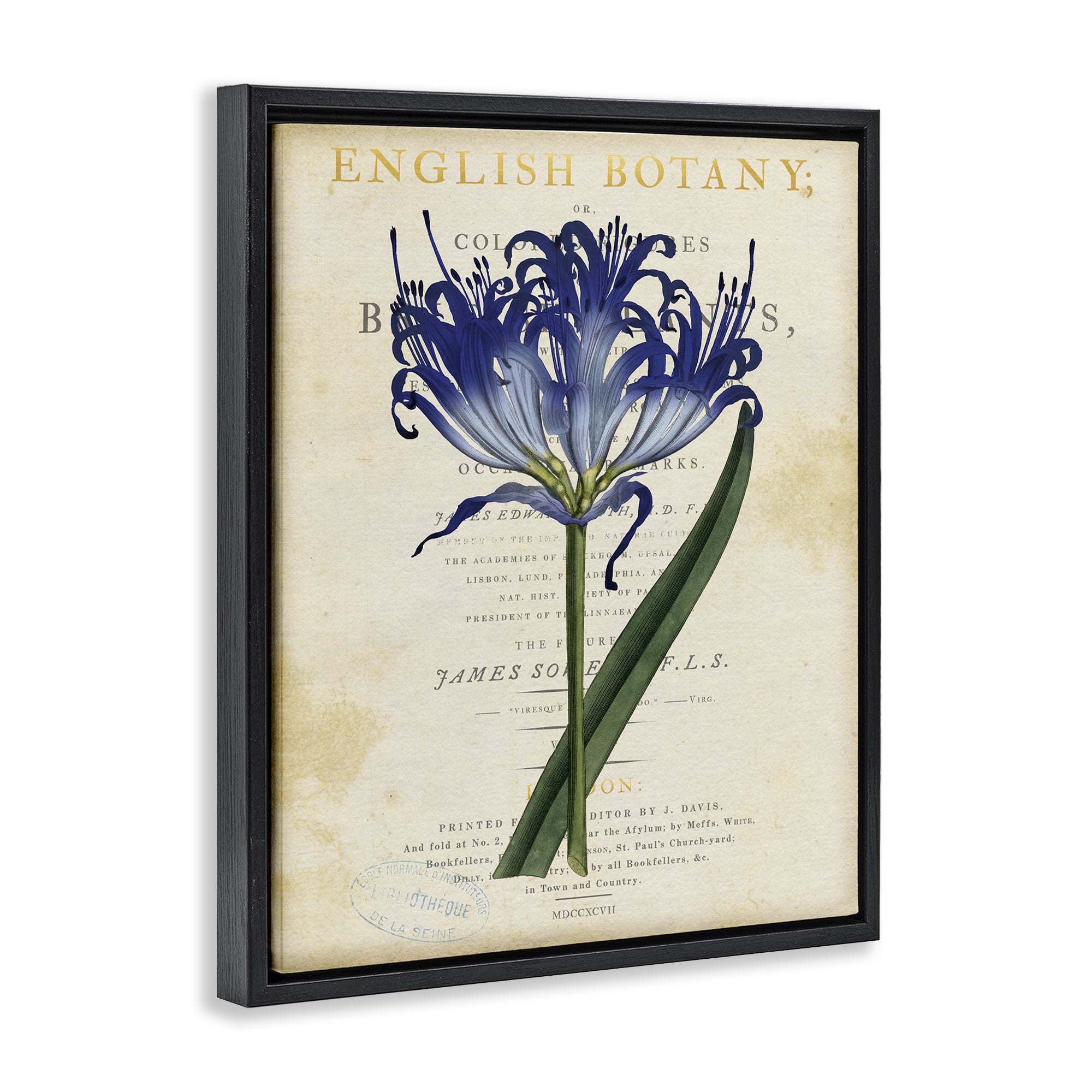 Stupell Industries English Botany Blue Floral Black Framed Floater Canvas Wall Art, design by Susan Arnot