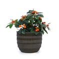 thumbnail image 6 of Olurrisa Set of 4 Fluted Ceramic Flowerpot, Modern Planter for Patio, Garden, Windowsill - Dark Coffee, 6 of 8