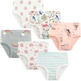 thumbnail image 1 of Synpos Girls Underwear, 100% Cotton Super Soft Cotton Briefs, Pack of 6, 1 of 7
