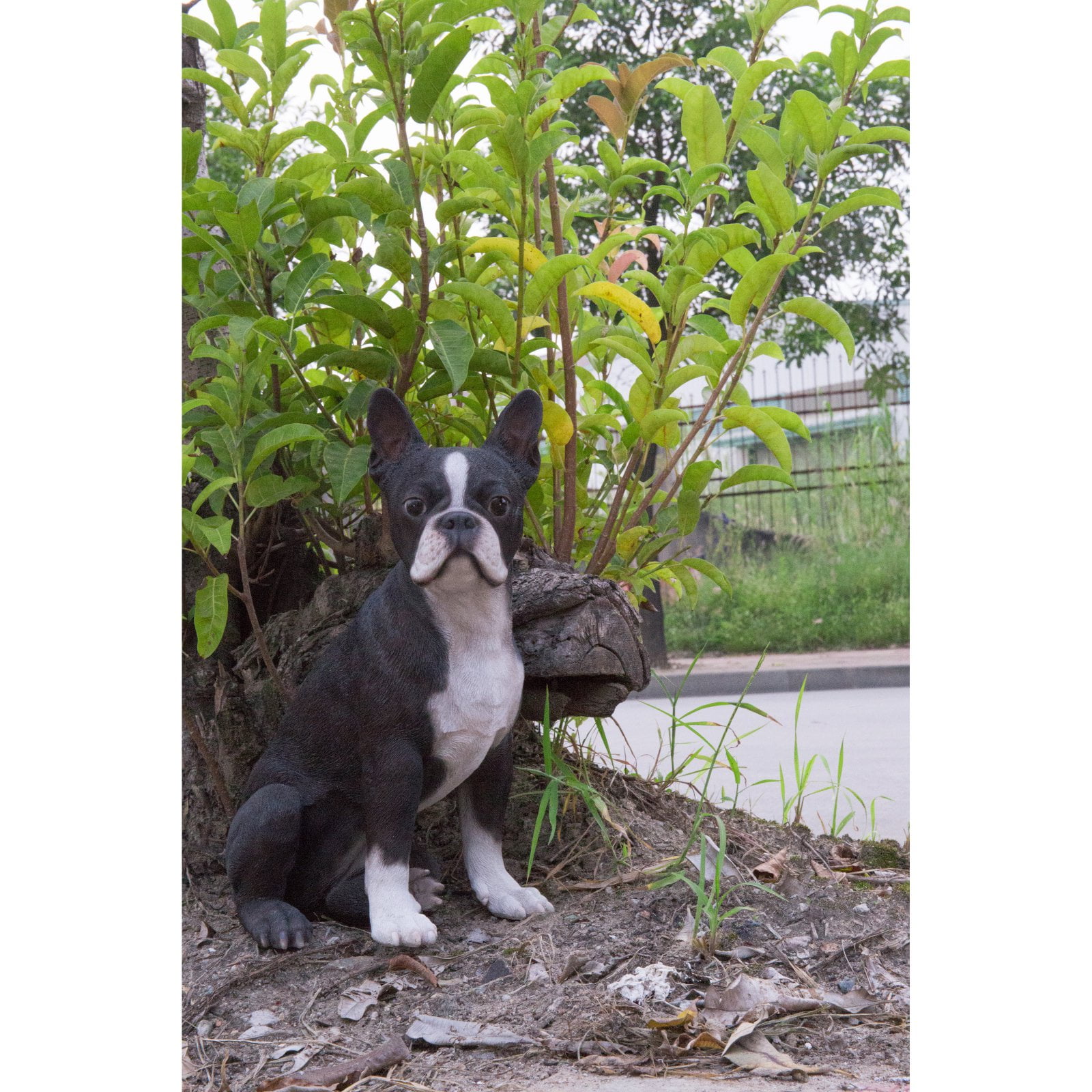 Hi-Line Gift Ltd. Boston Terrier Dog Garden Statue by Hi-Line Gift Ltd.