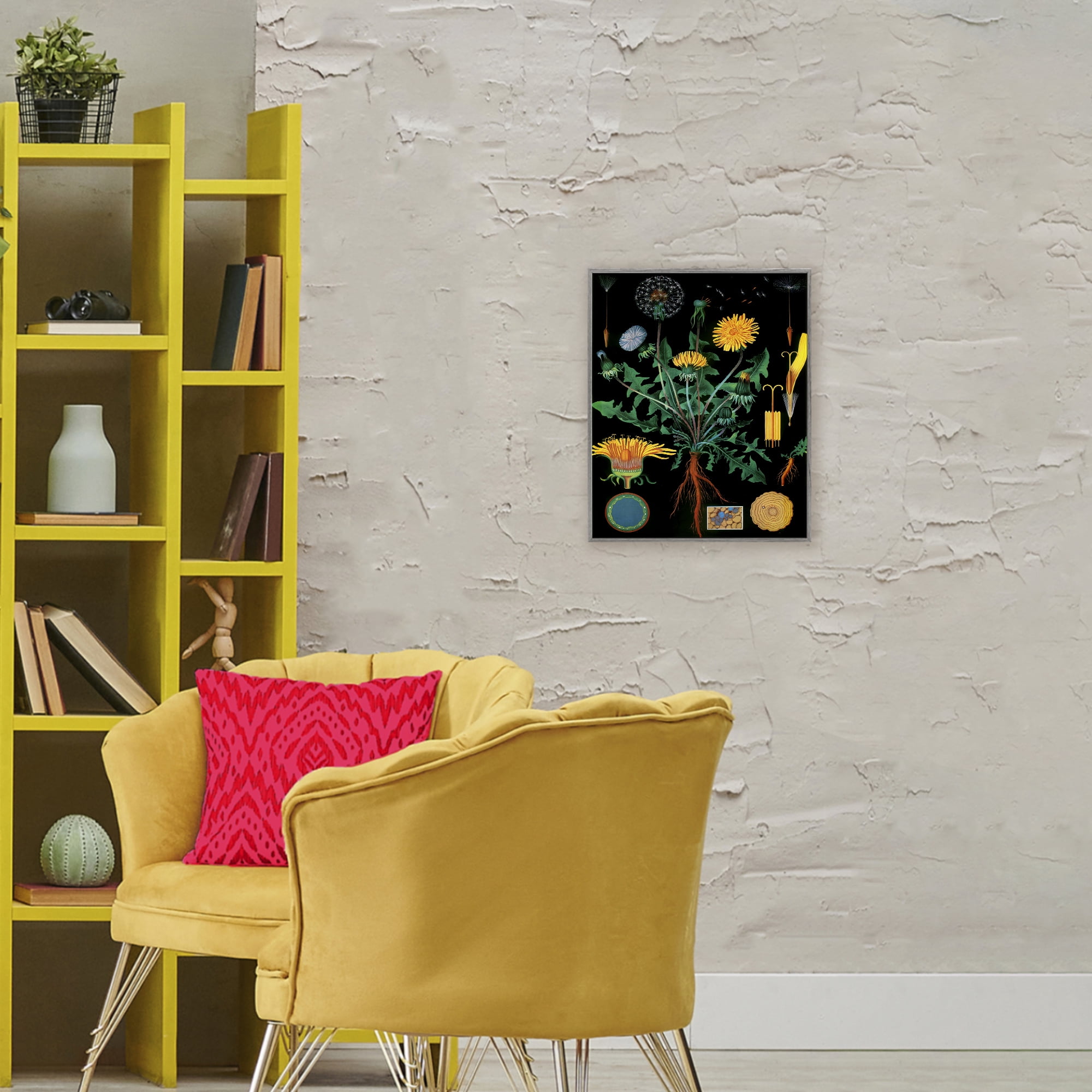 Stupell Industries Dandelion Botanical Illustration Gray Framed Giclee Art, design by Vintage Hustle