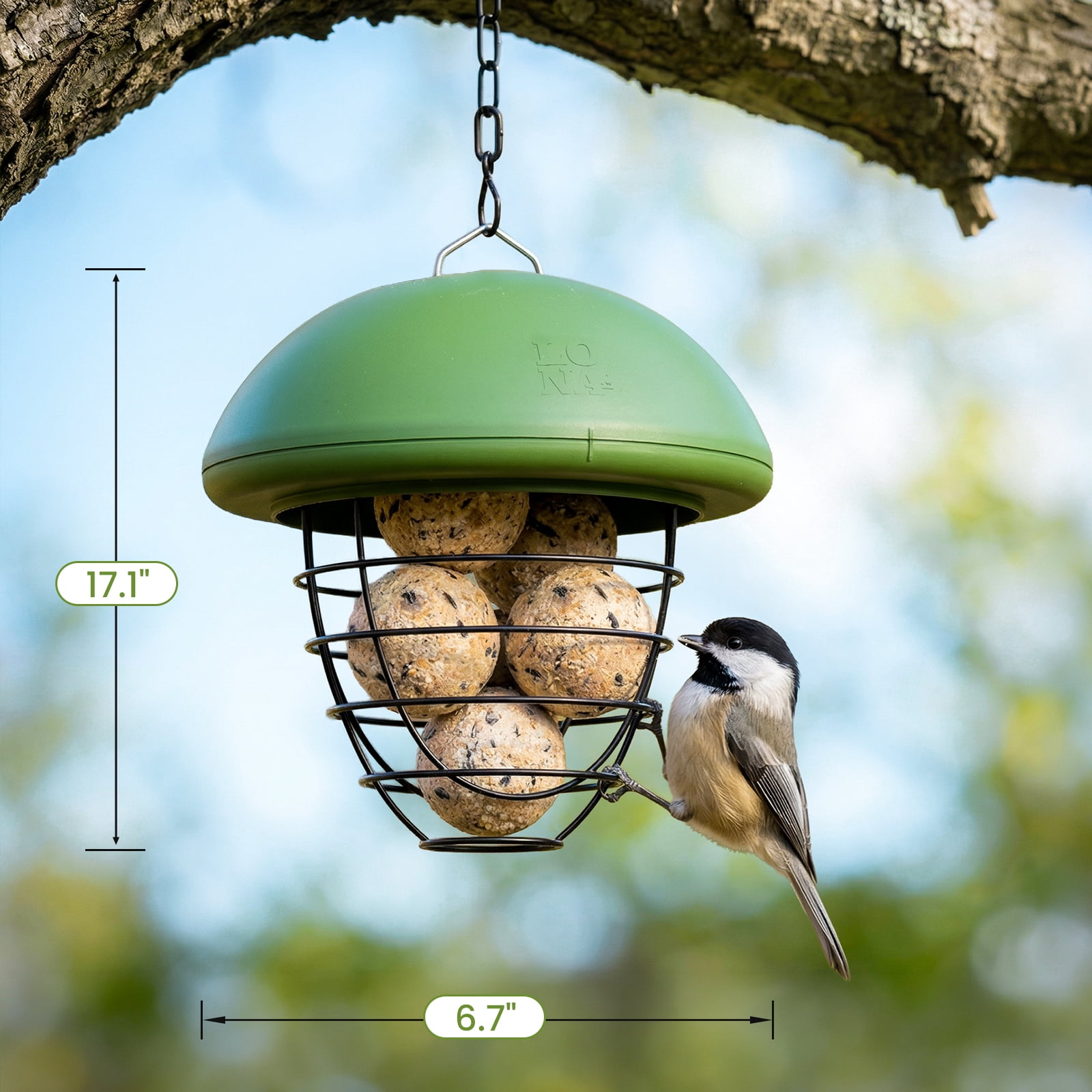 LONA Suet Ball Bird Feeder Outdoor Hanging Fat Ball Feeders with Versatile Mount Durable Weatherproof Washable Transparent Tube Wire Steel Metal Feeder for Wild Birds