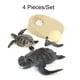 thumbnail image 5 of Bewildely 1 Juego de juguetes de animales de modelos cognitivos multifuncionales de ciclo de crecimiento Juguetes Educativos, 5 of 6