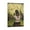 Frame-style, variant on Diego Rivera 《The Flowers》 Wall Art Prints Paintings Canvas Poster Poster Cool Artworks Painting Wall Art Canvas Prints Hanging Picture Home Decor Posters Gift 16x24inch(40x60cm)