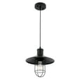 thumbnail image 2 of Radiant 1 Light Pendant in Black, 2 of 6