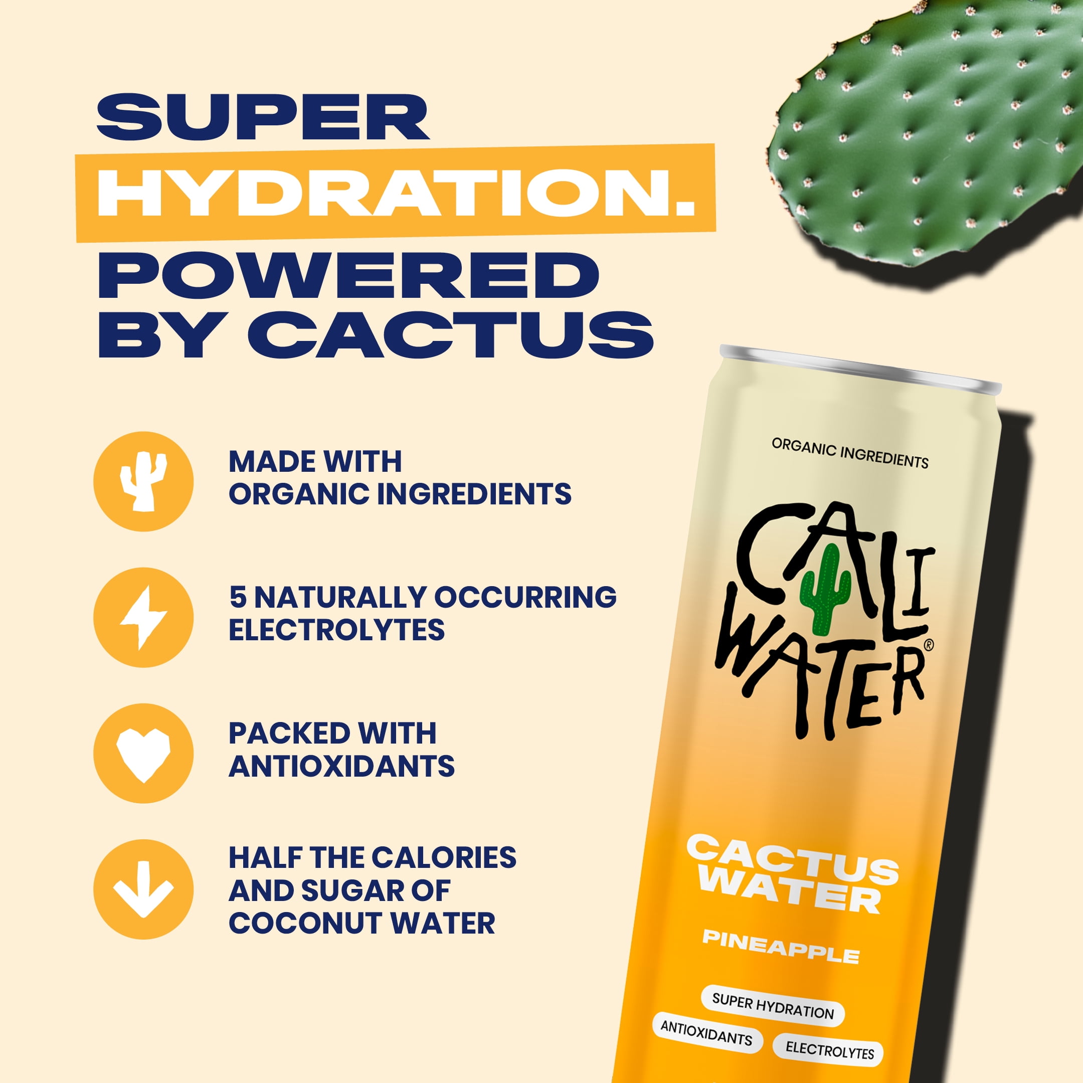 (12 pack) Caliwater Organic Cactus Water, Pineapple, Single Can, Coconut Water Alternative, 12 fl oz, Crisp