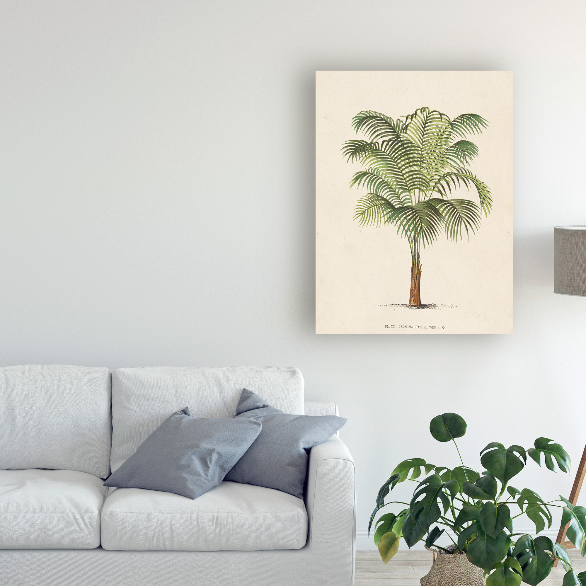 Trademark Fine Art 'Les Palmiers II' Canvas Art by Unknown
