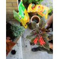 thumbnail image 4 of shiyou-Potting Mix 8.8L, 4 of 4
