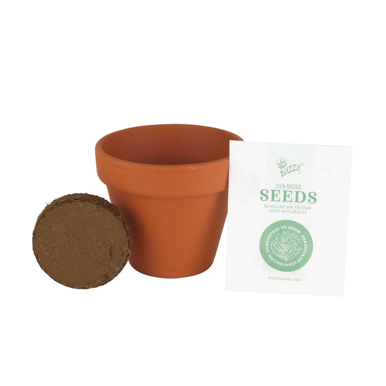 Lavender Classic (7cm) Terra Cotta Grow Kit Lavender Classic (7cm) Terra Cotta Grow Kit