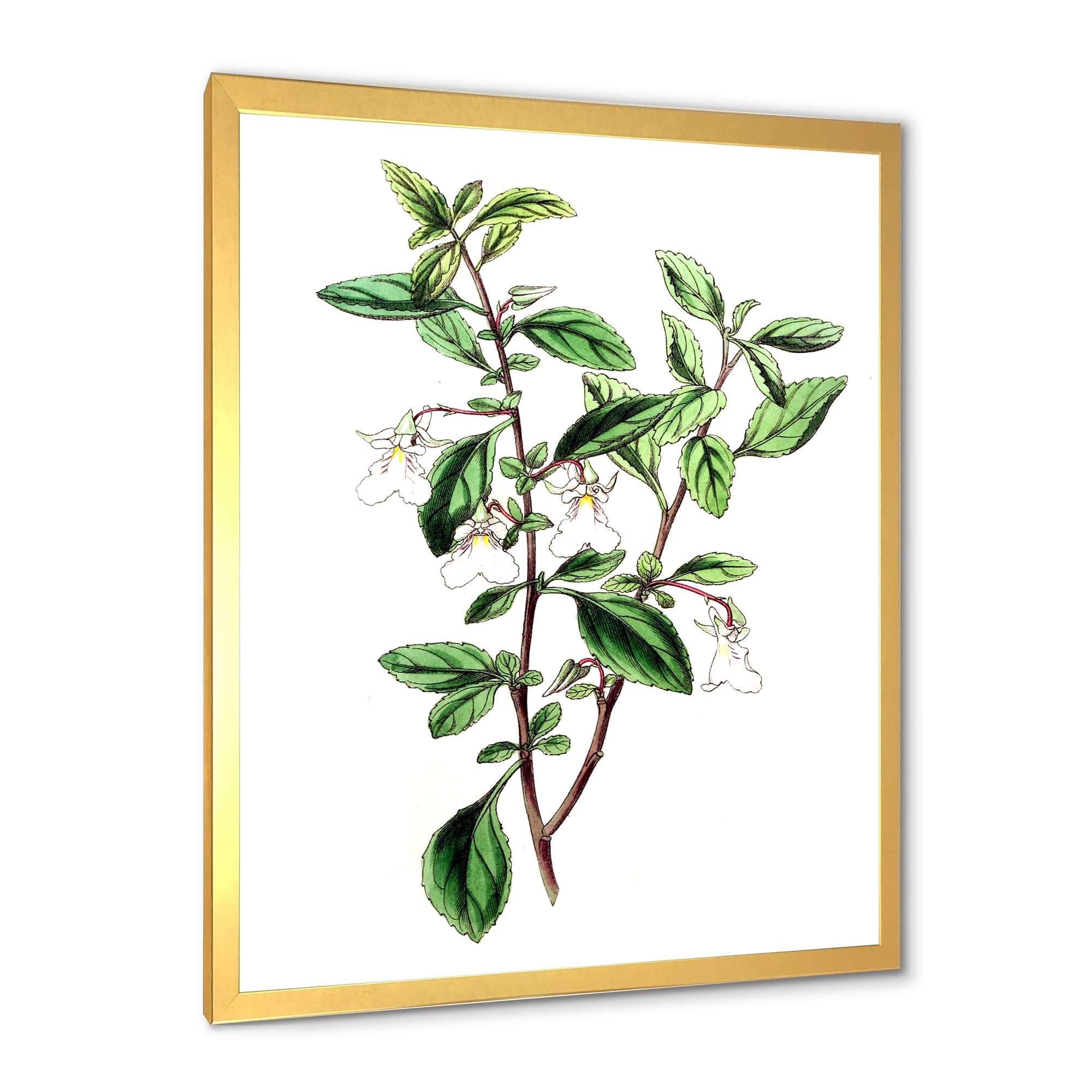 Designart 'Ancient Green Leaves Plants VII' Traditional Framed Art Print