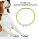 thumbnail image 3 of Collar De LED Recargable, Luces De Caminar Para Perros Brillantes Luces De Cuello Para Perros Para Perros Para Caminar Por La Noche Silicona Collar De Suave Para, 3 of 7