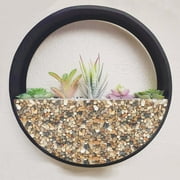 5 Pounds Pebbles for Plants, 3/8 to 1/2 Inch Decorative Rocks for Vase, Succulents, Highly Polished, Mixed Color