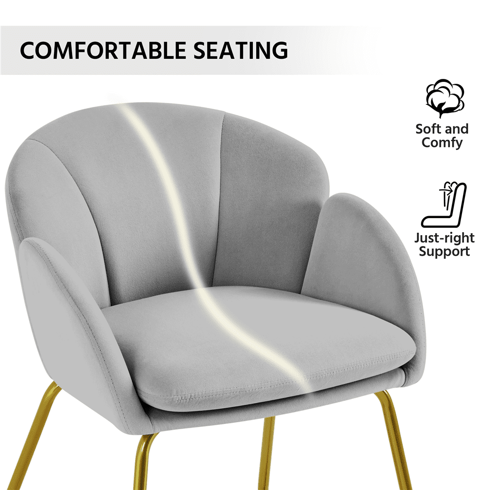 Alden Design Pack of 2 Velvet Armchair Dining Chair with Golden Metal Legs for Living Room/Bedroom/Kitchen, Gray