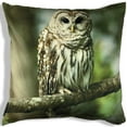 thumbnail image 1 of Coussin de hibou de Dexter, 1 of 1