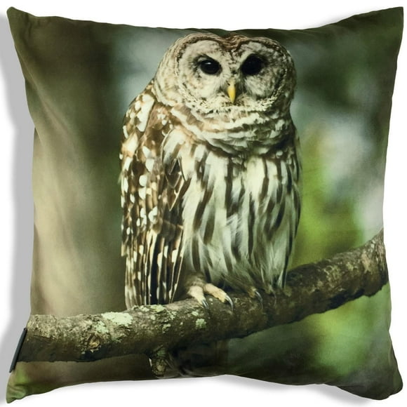 Coussin de hibou de Dexter