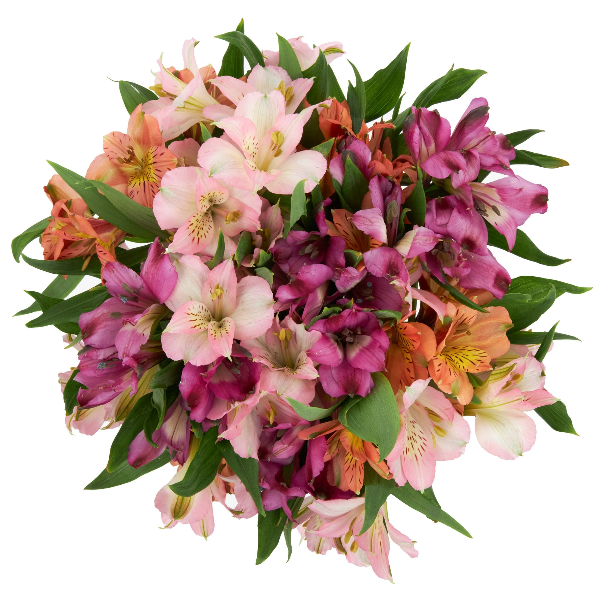 Alstroemeria Flower Bunch Medium, Colors May Vary