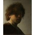 thumbnail image 3 of Rembrandt van Rijn 15x18 Black Modern Framed Museum Art Print Titled - Self-Portrait, Rembrandt Van Rijn (C. 1628), 3 of 5
