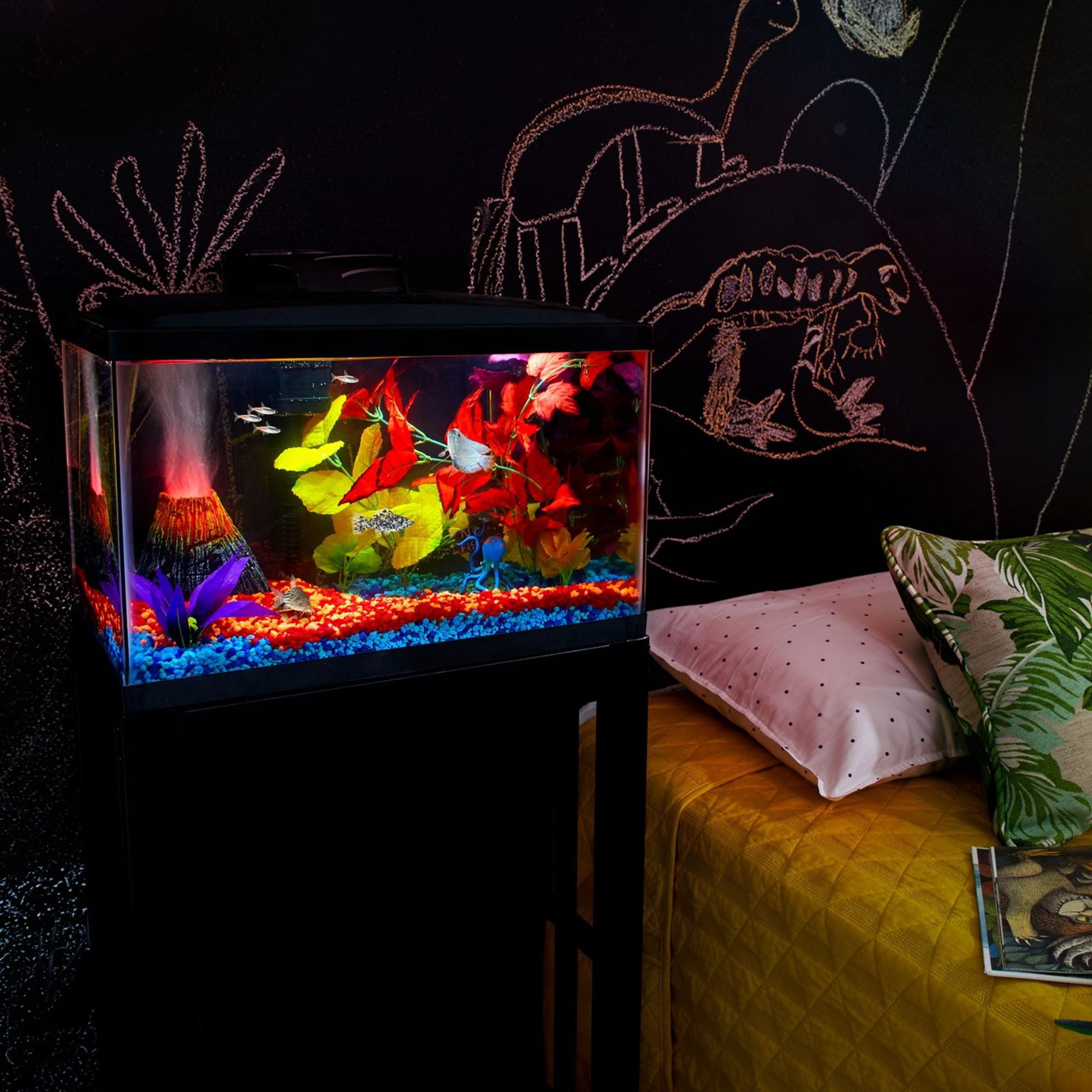 Aqueon Standard Open-Glass Glass Aquarium Tank 10 Gallon