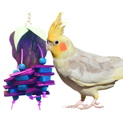 904 Grape Chipper Bird Toy
