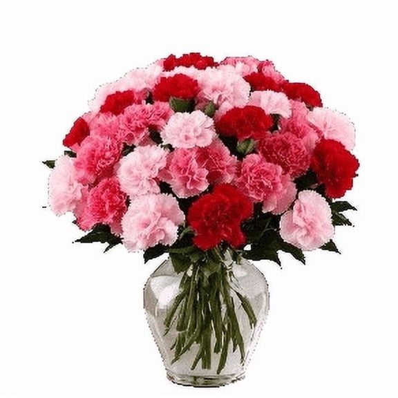 KaBloom : Bouquet of Fresh 18 Red And Pink Carnation With Vase, Next-Day Delivery